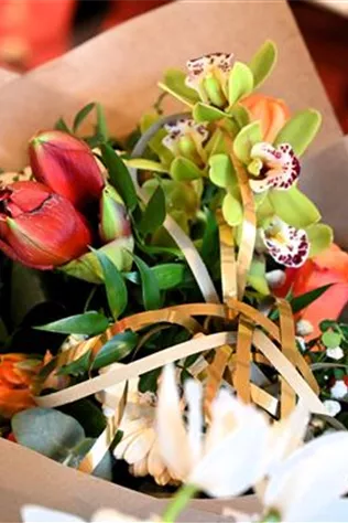 Z7 2025-12-29 BK Silvester (2).JPG