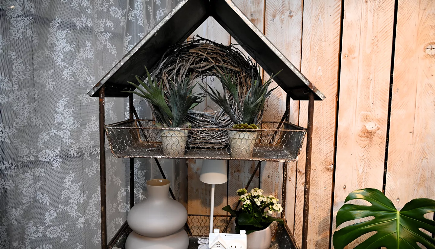 Z7 2026-01-10 BK Dekoration (20).JPG