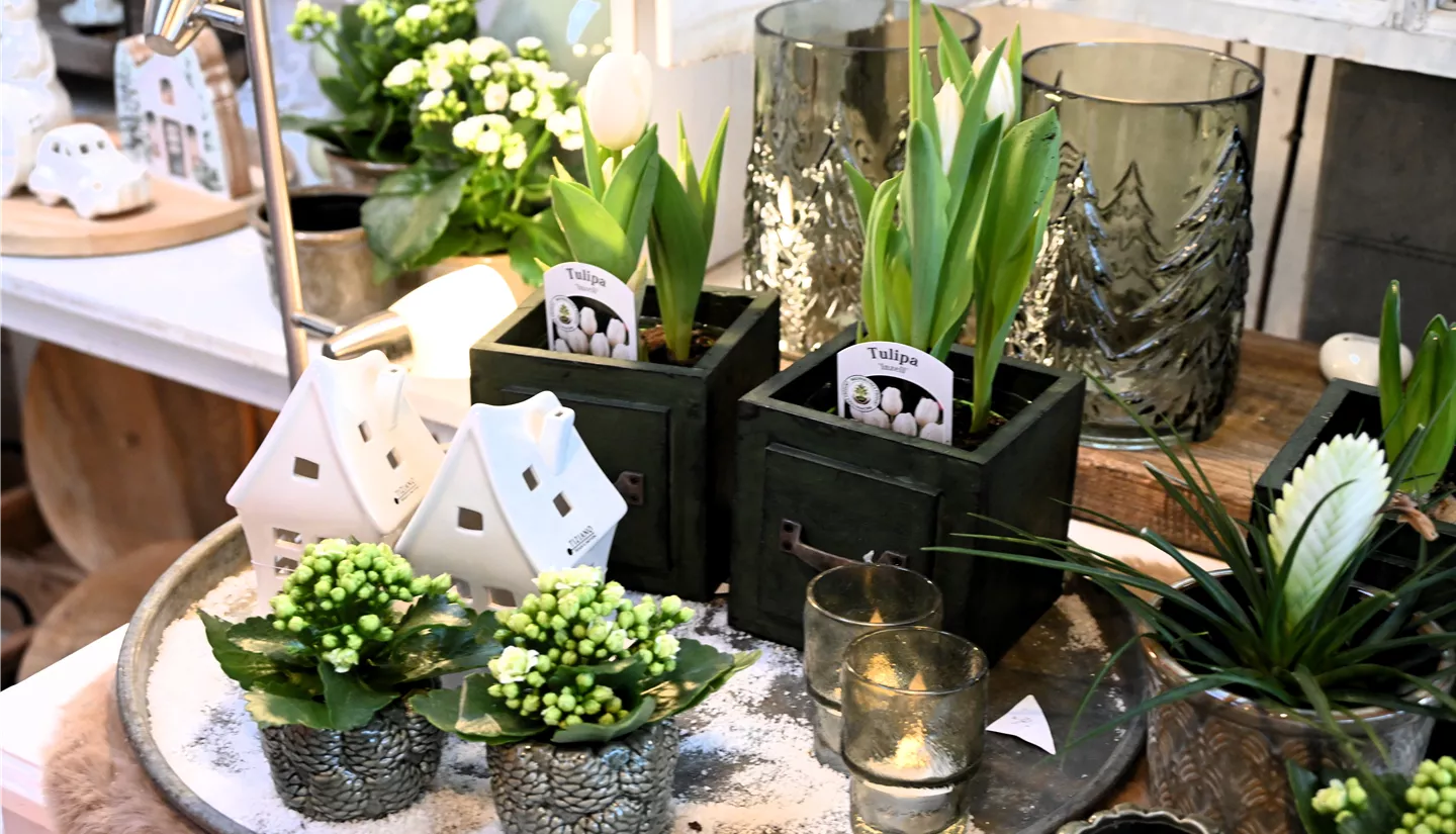 Z7 2026-01-10 BK Dekoration (30).JPG