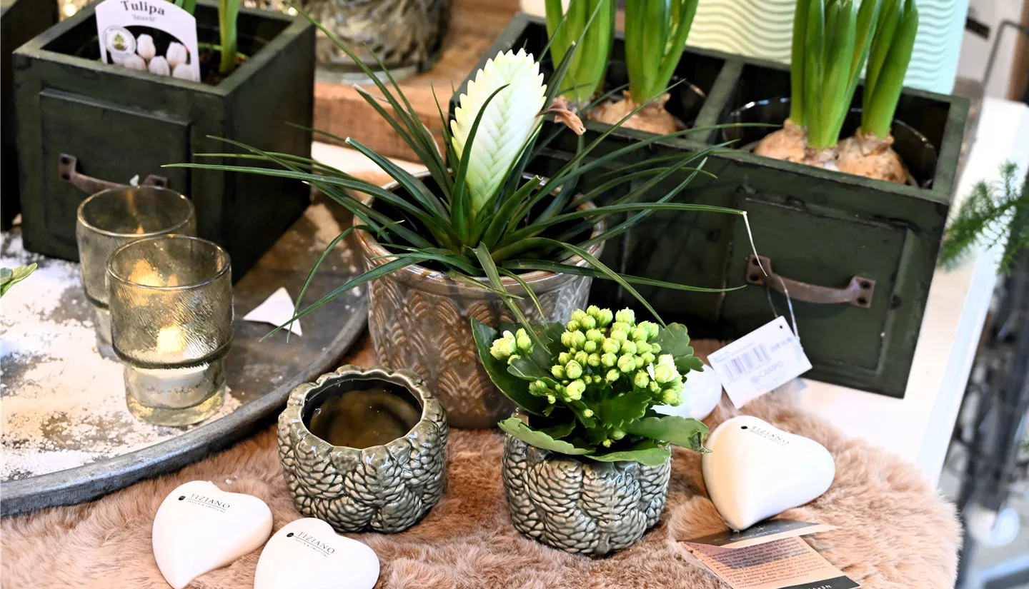 Z7 2026-01-10 BK Dekoration (31).JPG