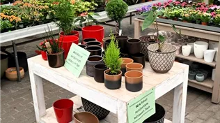 Z7 2026-02-04 BK Angebote (1).JPG