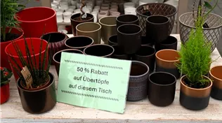 Z7 2026-02-04 BK Angebote (2).JPG