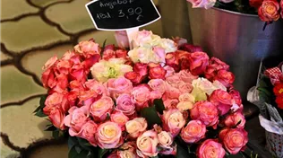 Z7 2026-02-22 BK Angebote (1).JPG