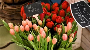 Z7 2026-02-22 BK Angebote (3).JPG