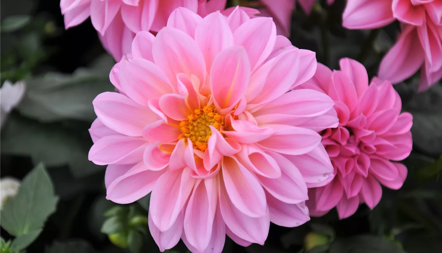 NK 2019-05-04 Kuhlmann (44).JPG