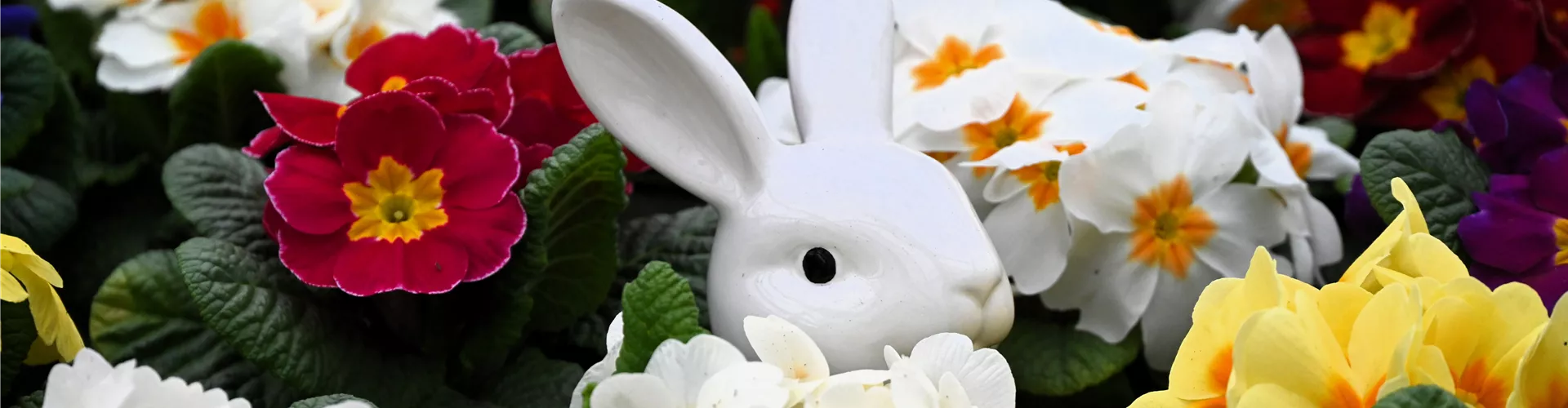 Z7 2026-03-14 BK Fotofreunde (106)