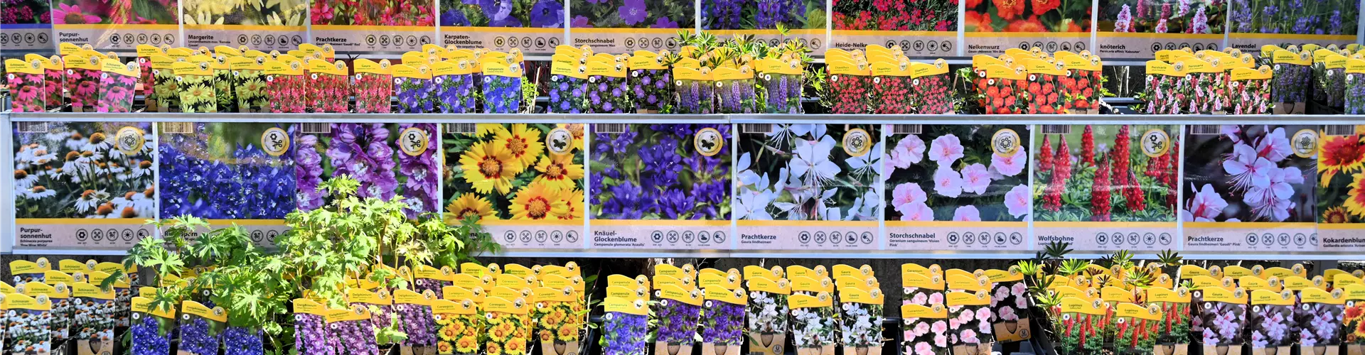 Z7 2026-03-21 BK Gartenbau (22)