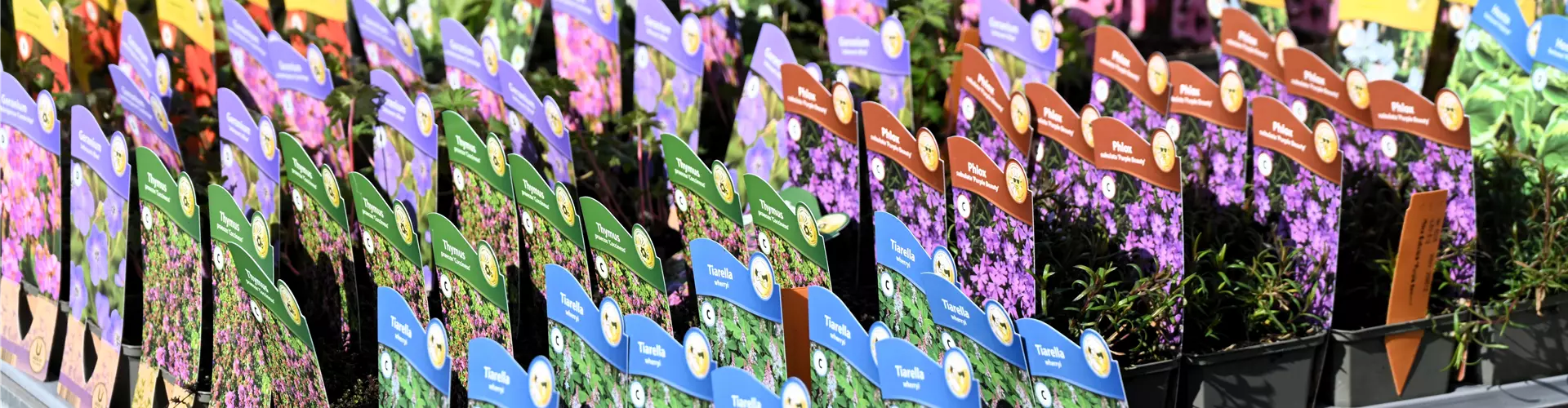 Z7 2026-03-21 BK Gartenbau (18)