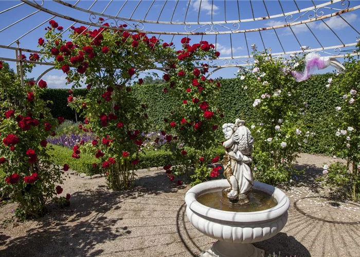 Der Barockgarten: royales Flair im eigenen Garten