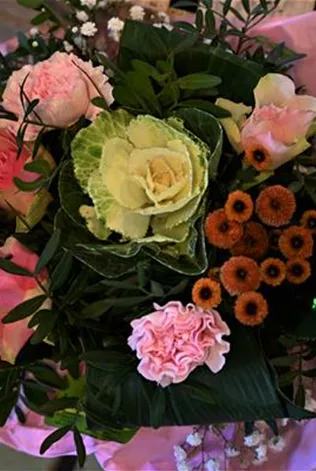 Z7 2012-10-16 BK Herbst (33).JPG