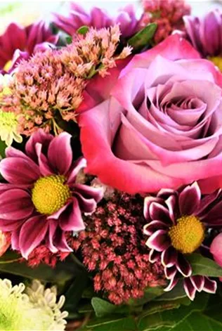 Z7 2012-10-16 BK Herbst (36).JPG