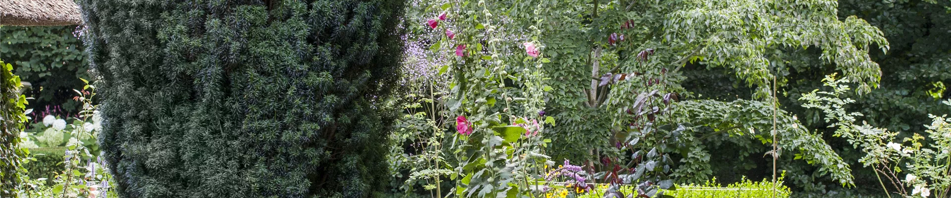 GS503738.jpg