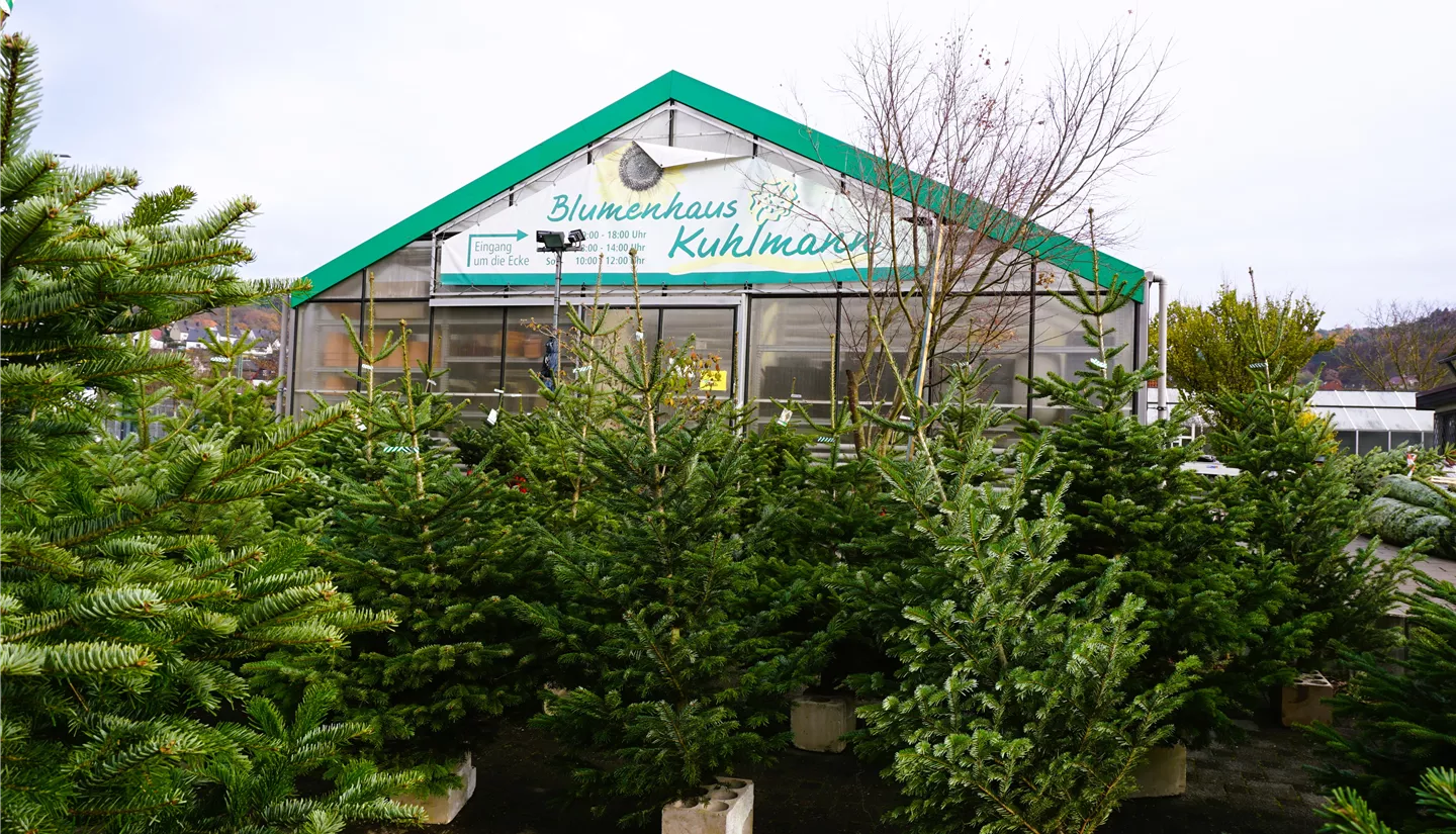 S6 2022-11-27 BK W-Baeume (4).JPG