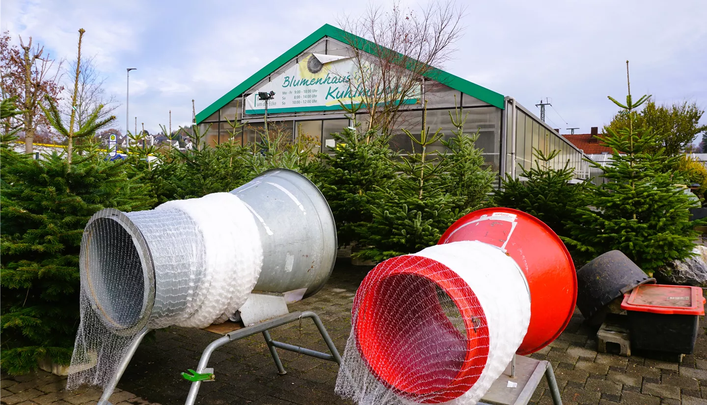 S6 2022-11-27 BK W-Baeume (6).JPG