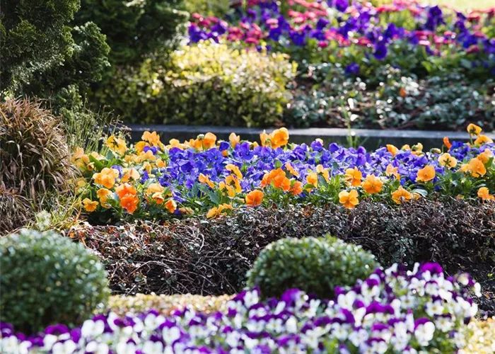 Das Grab im Lauf der Jahreszeiten Das Grab im Lauf der Jahreszeiten